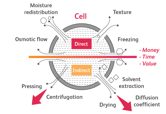 Pulsed electric field technology